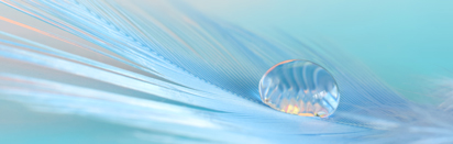 Bulle d'air vignette