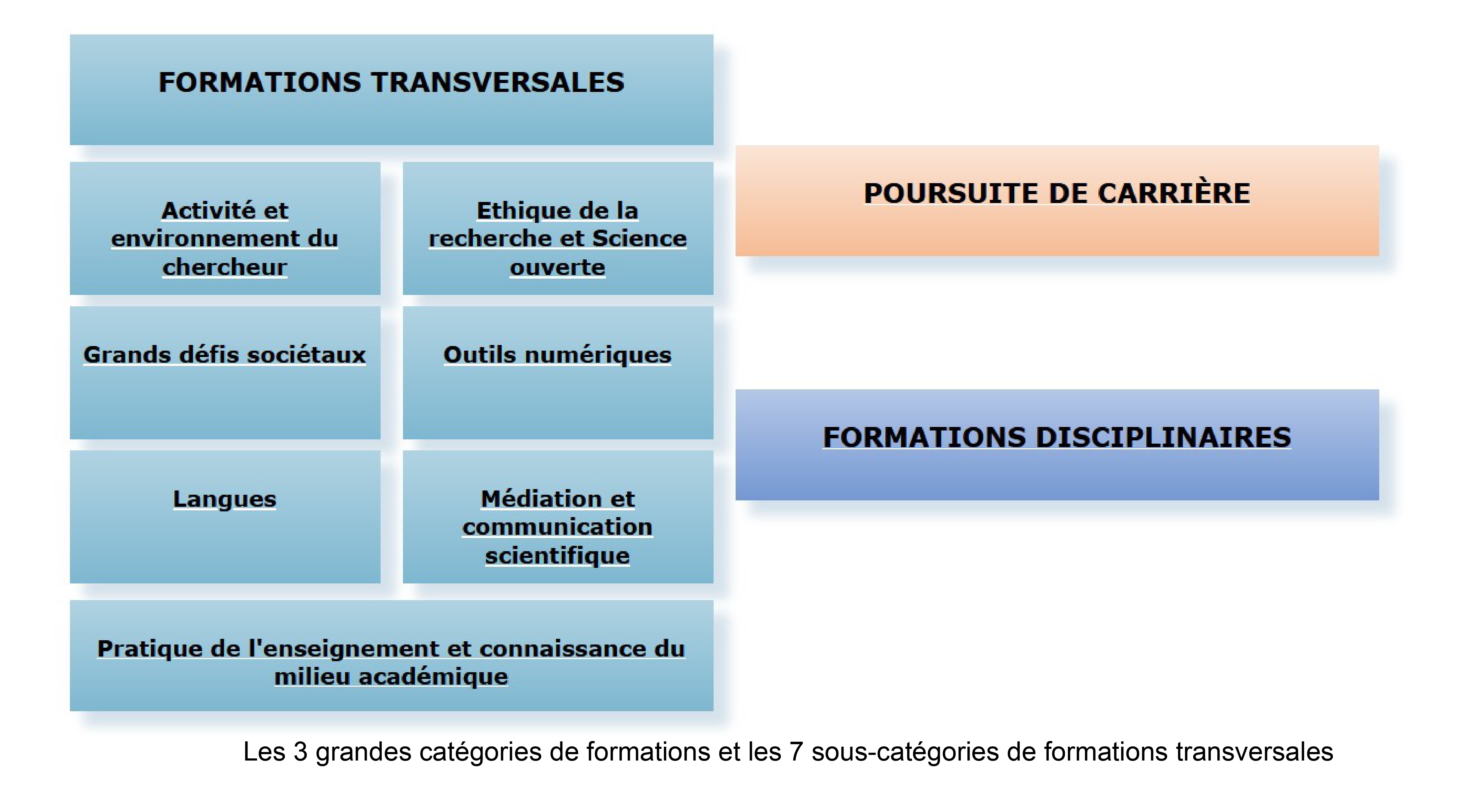 Les trois grandes catégories de formations